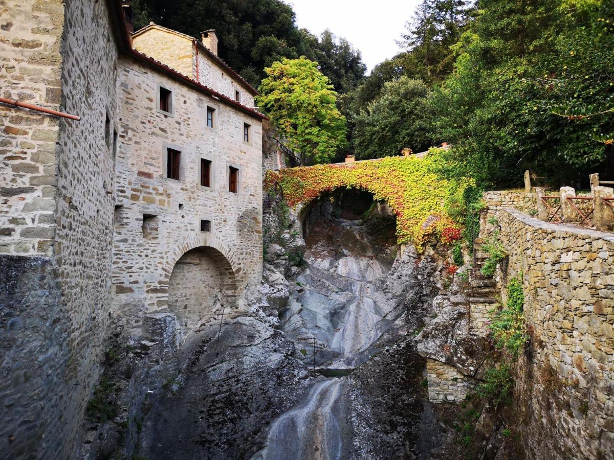 Hotel Borgo Il Melone Cortona Esterno foto
